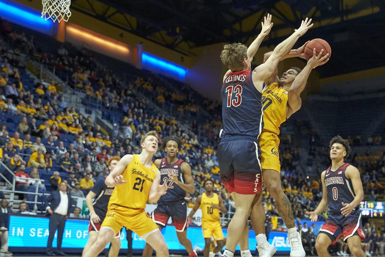 Arizona Wildcats Basketball