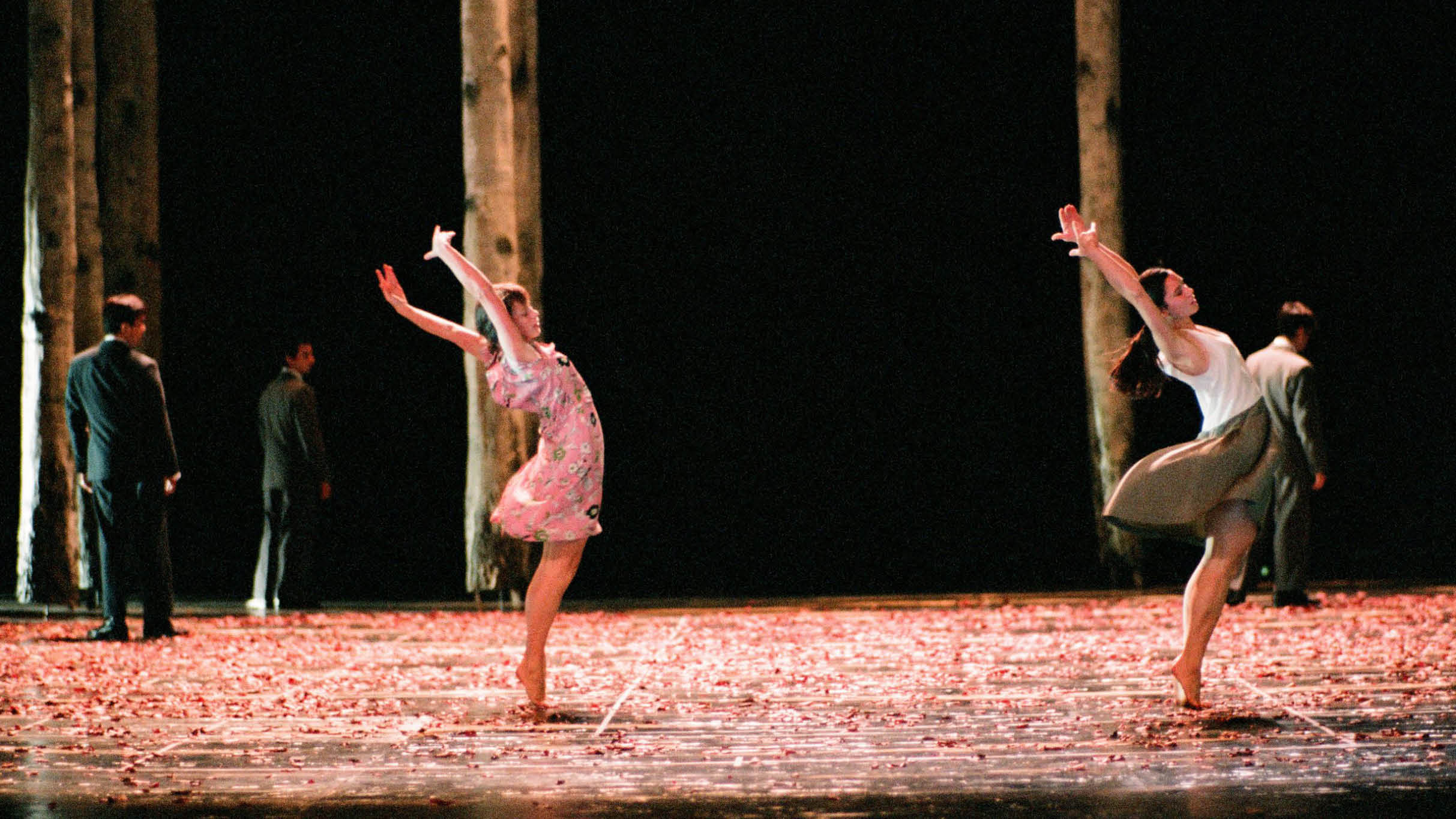 Bartok tickets in Walnut Creek