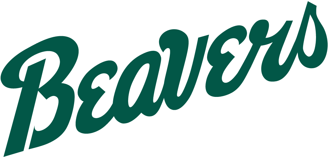 Bemidji State Beavers tickets in Bowling Green