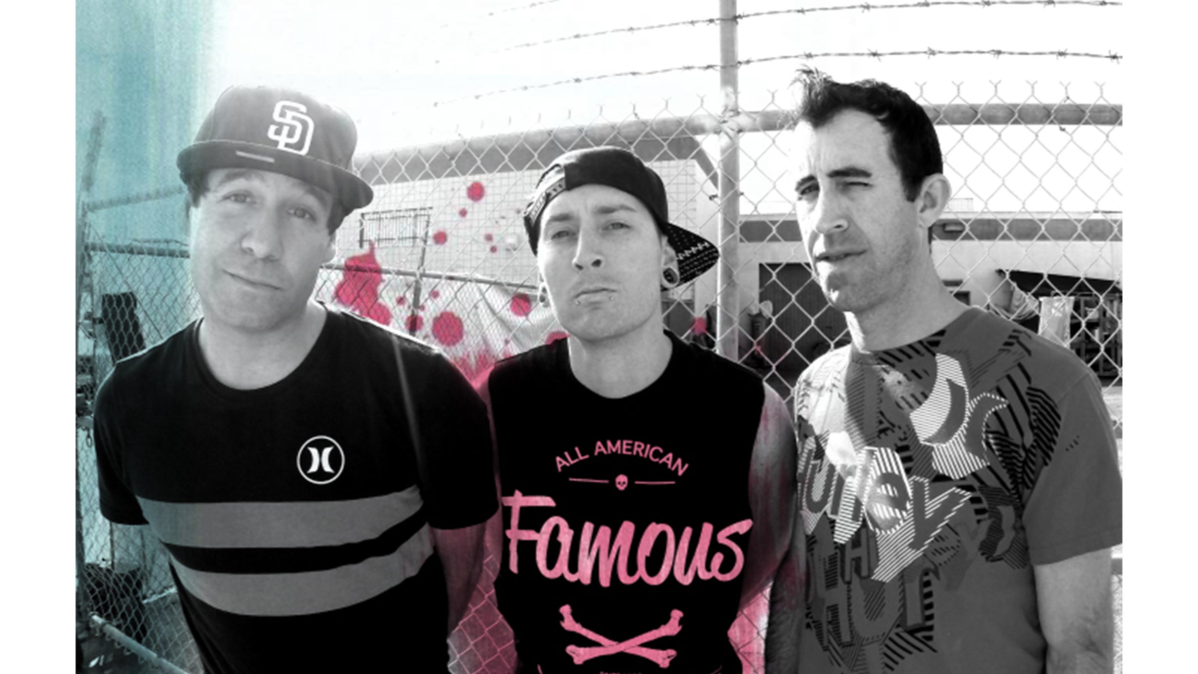 Blink180-True