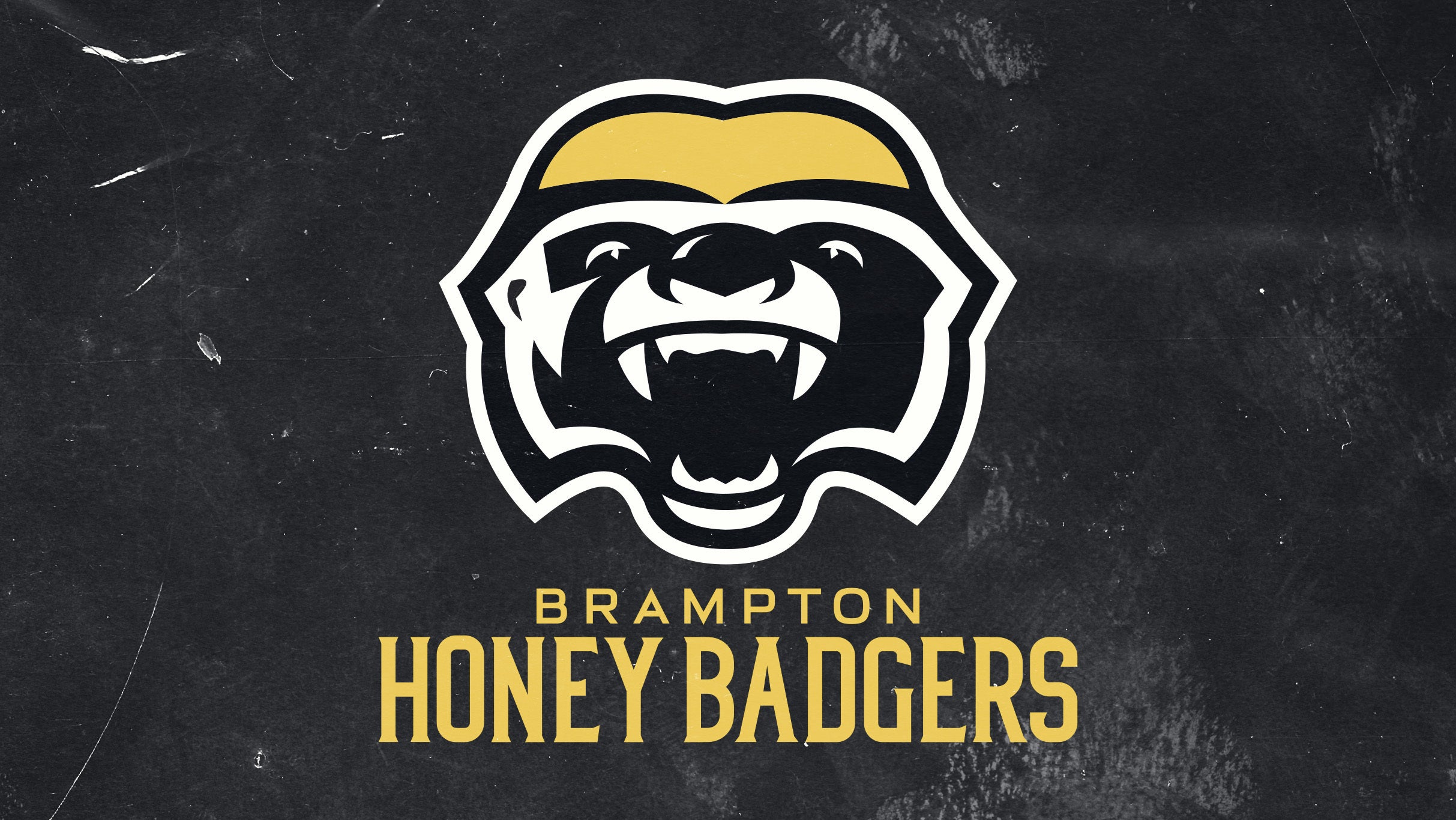 Brampton Honey Badgers tickets in Brampton