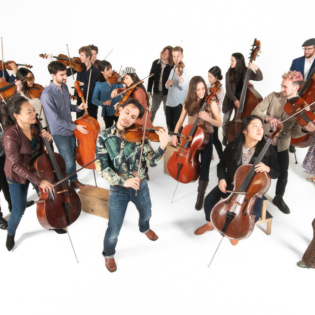 Delirium Musicum Chamber Orchestra