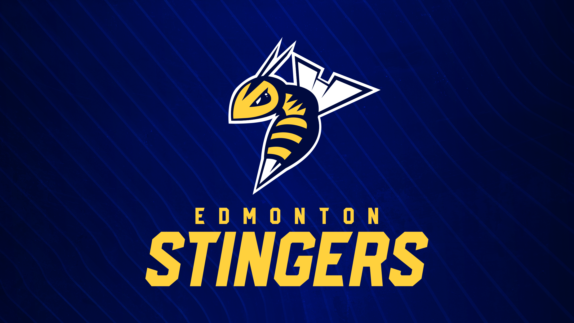 Edmonton Stingers tickets in Edmonton