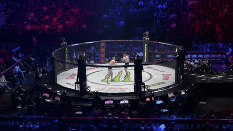 Excitefight MMA tickets in Auburn