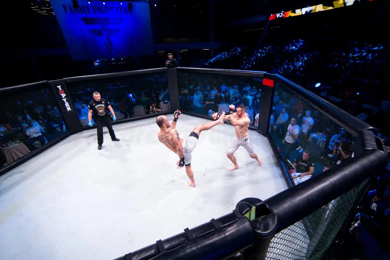 MMA - Mixed Martial Arts