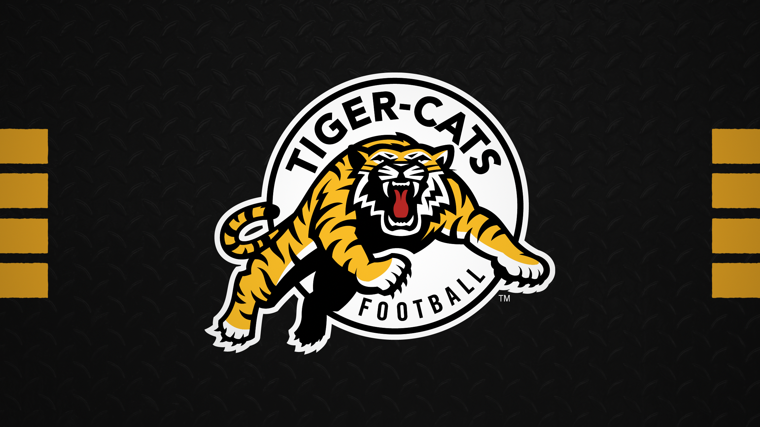 Hamilton Tiger-Cats tickets in Hamilton