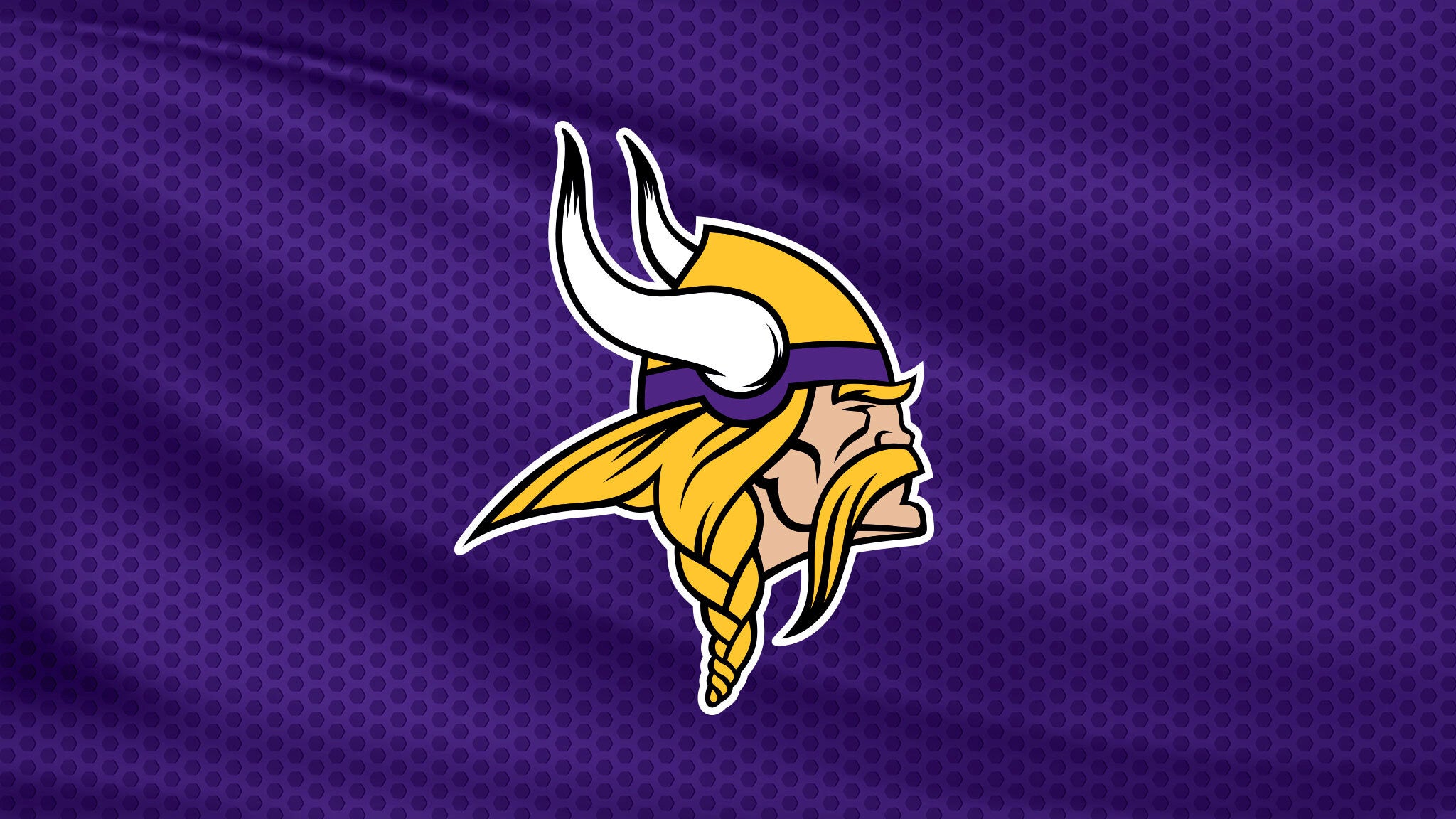 Minnesota Vikings tickets in Minneapolis