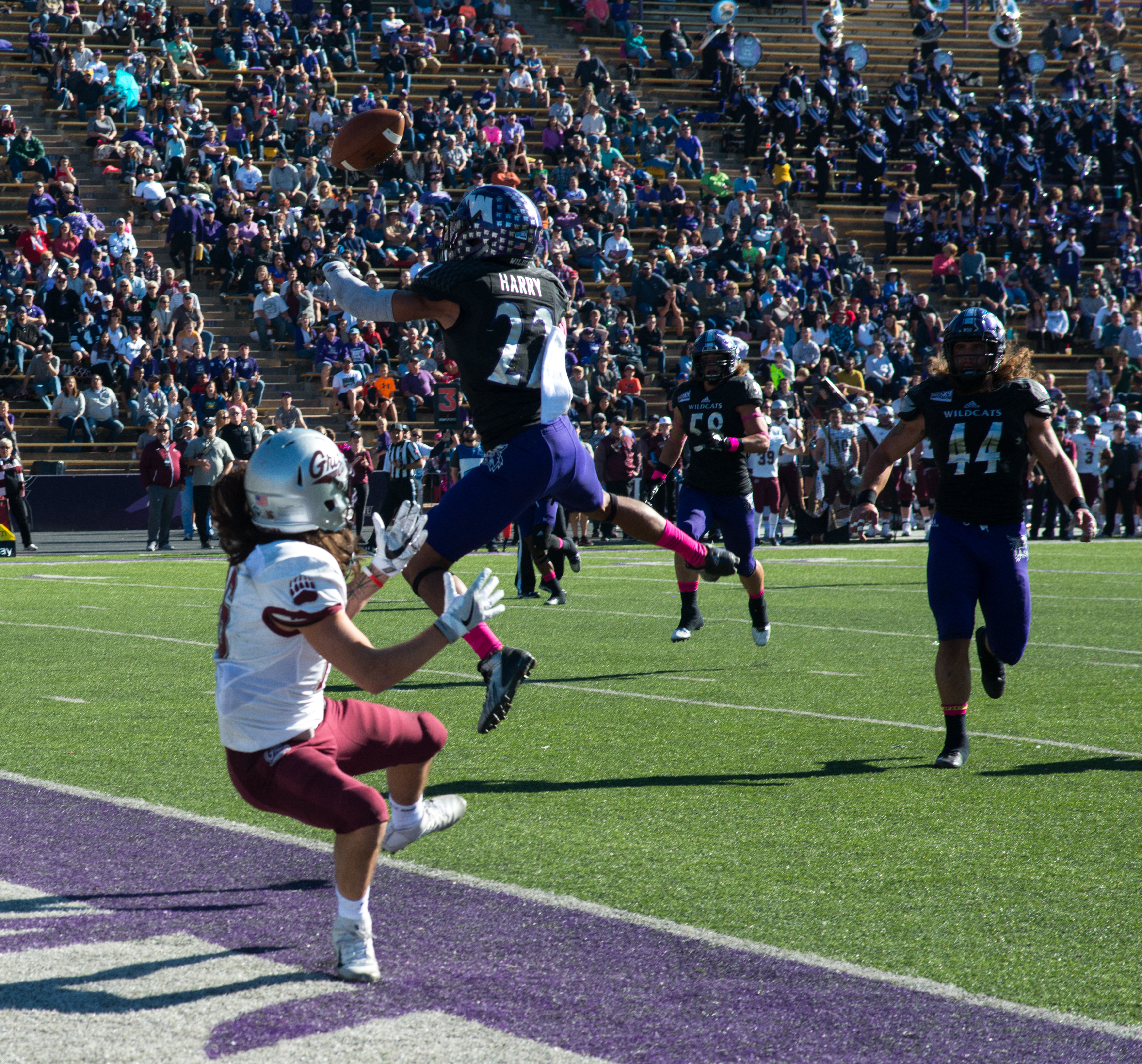 Montana Grizzlies Football tickets in Flagstaff