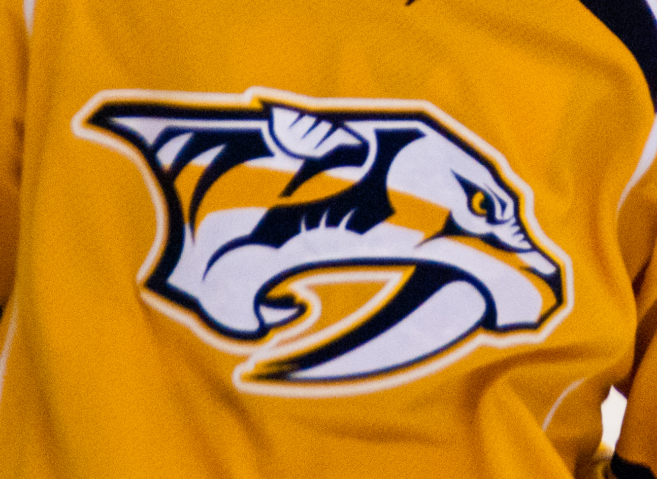 Nashville Predators tickets in Nashville