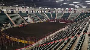 Painted Pony Rodeo