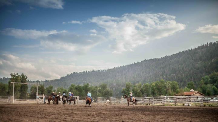 Ranch Rodeo