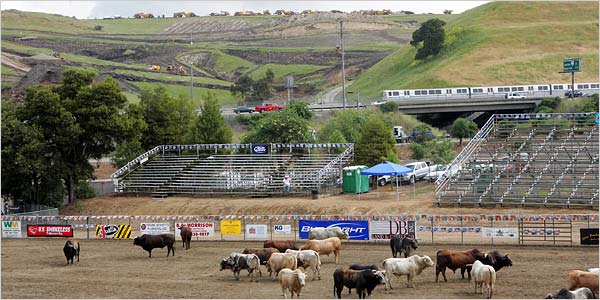 Rowell Ranch Rodeo