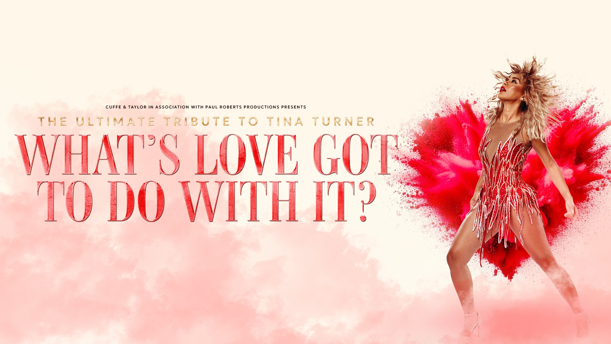 What's Love Got To Do With It - A Tribute to Tina Turner tickets in Aylesbury