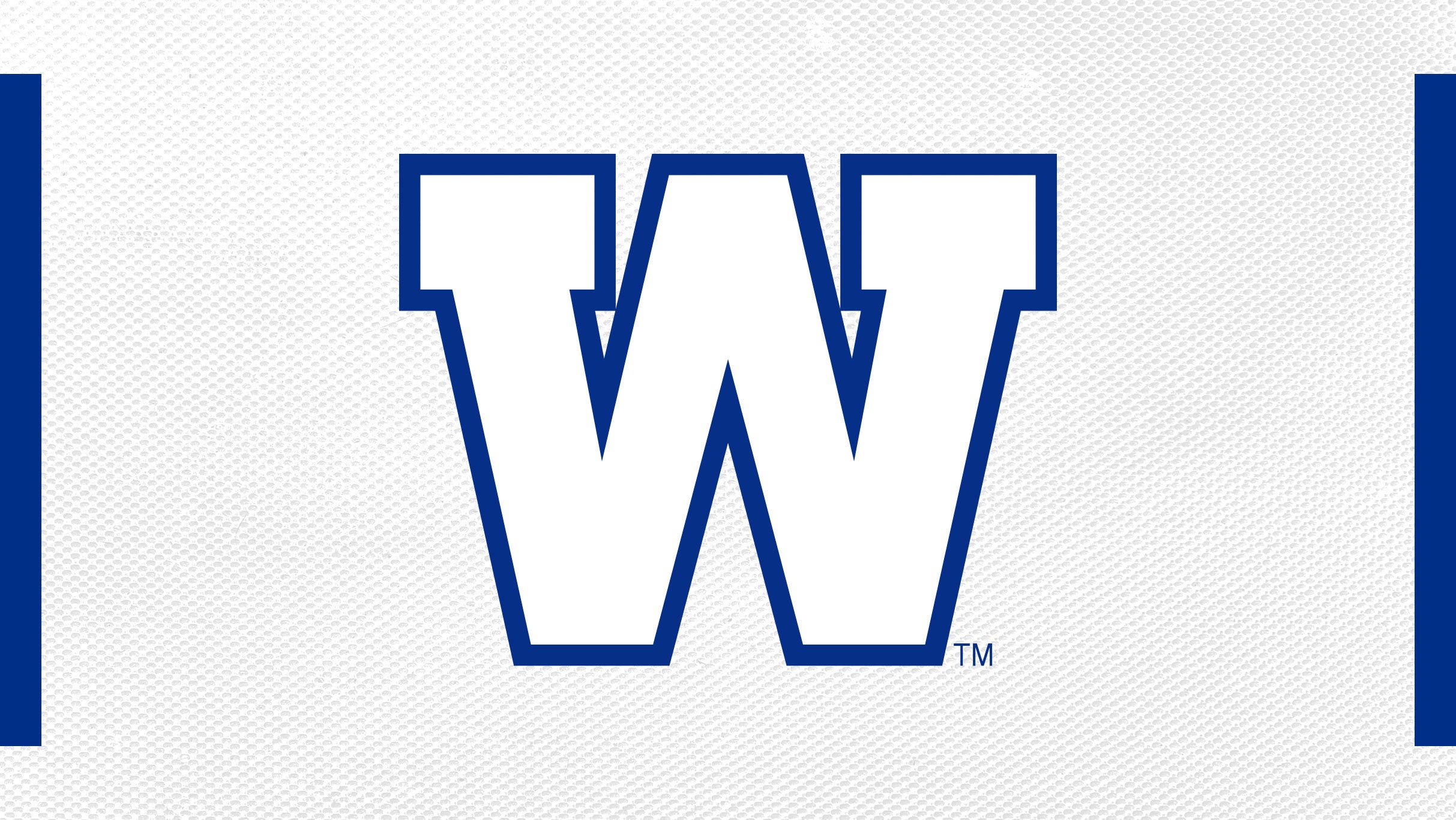 Winnipeg Blue Bombers tickets in Winnipeg